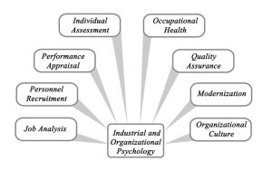 Graph breaking down the role of Industrial & Organizational Psychology in the workplace into 8 categories.